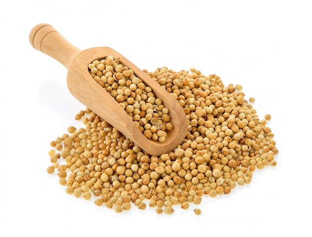 Coriander seeds in scoop isolated on white isolated