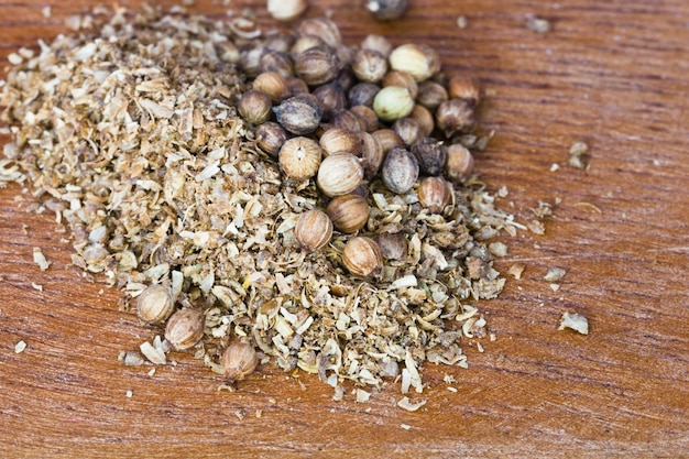 Coriander seeds spice