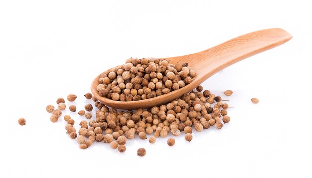 Coriander seeds in spoon wooden on white wall