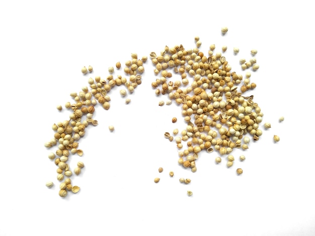 Coriander seeds on white background