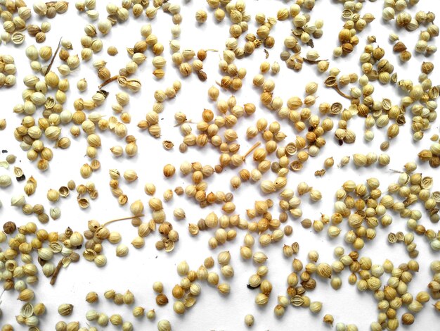 Coriander seeds on white background