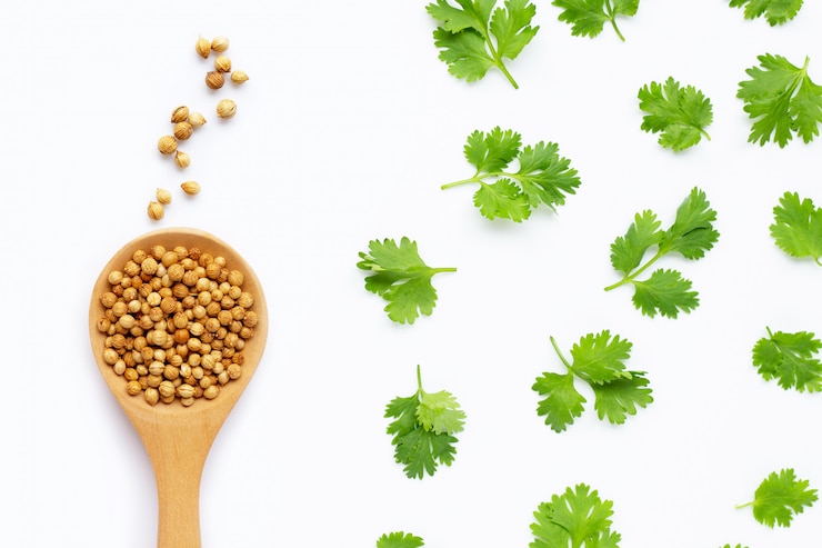 Photo coriander seeds with fresh leaves isolated on white 