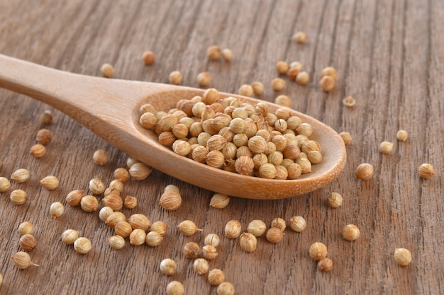 Coriander seeds in wood spoon on table