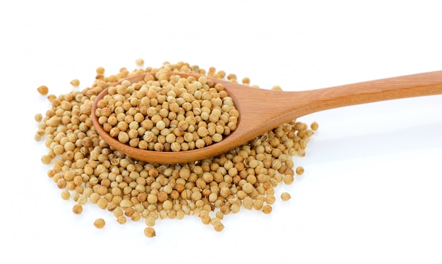 Coriander seeds in wood spoon on white isolated