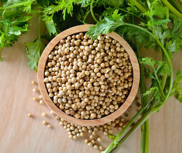 Coriander seeds in wood spoon