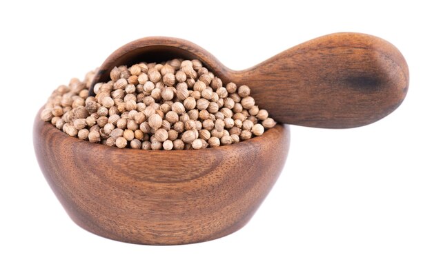 Coriander seeds in wooden bowl and spoon isolated on white background Cilantro grain Organic spice