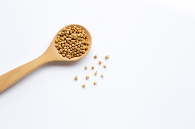 Coriander seeds in the wooden spoon on white