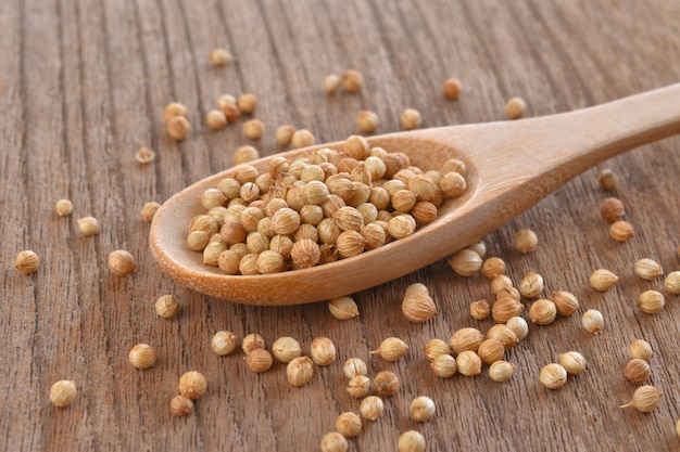 Coriander seeds in wooden spoon