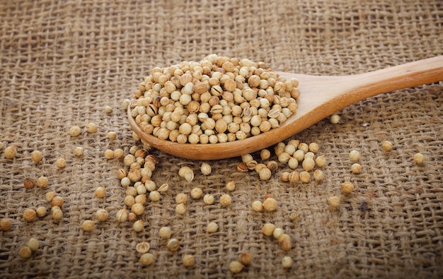 Coriander seeds in a wooden spoon 