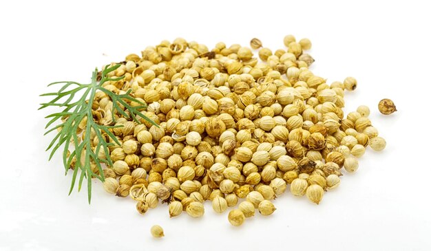 Coriander seeds