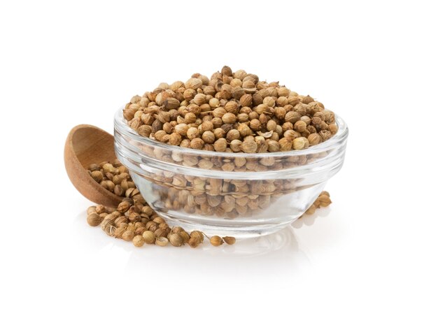 Coriander spices in bowl isolated on white