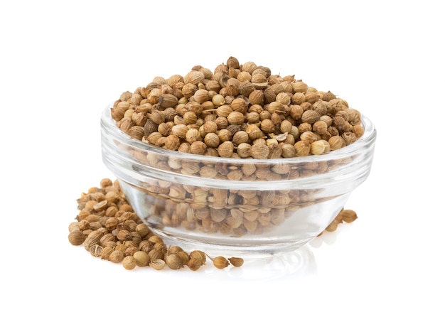 Coriander spices in bowl on white