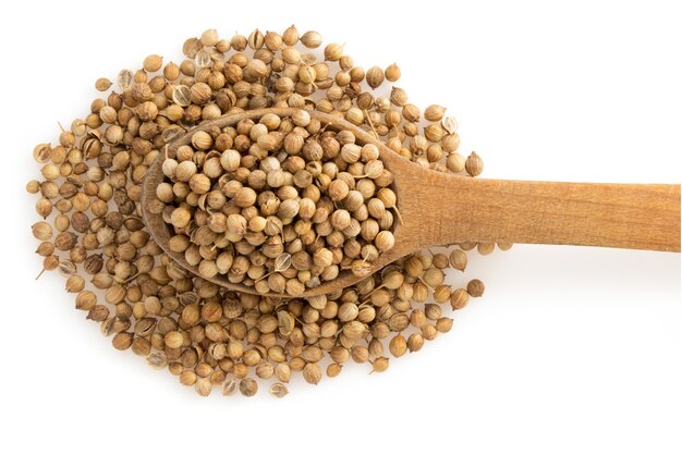 Coriander spices in spoon isolated on white