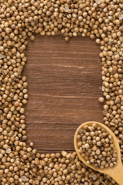 Coriander spices and spoon on wood background