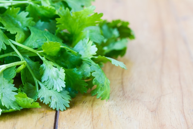 coriander on table