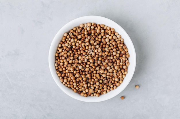 Coriander whole dry seeds in white bowl on gray stone background