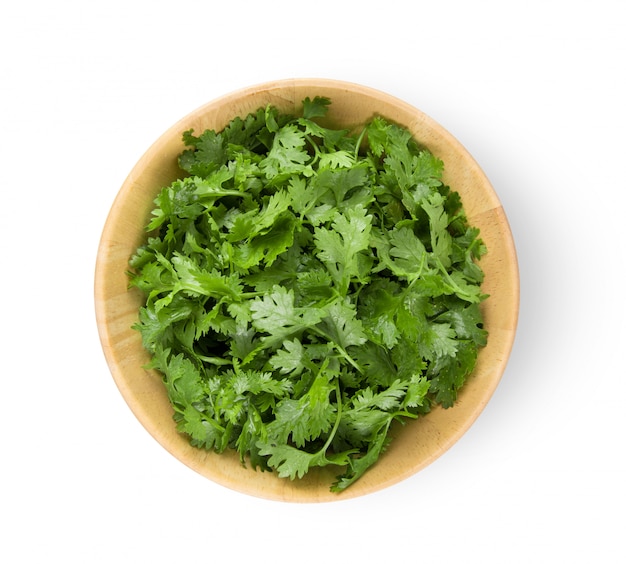 Coriander in wood bowl on white wall. 