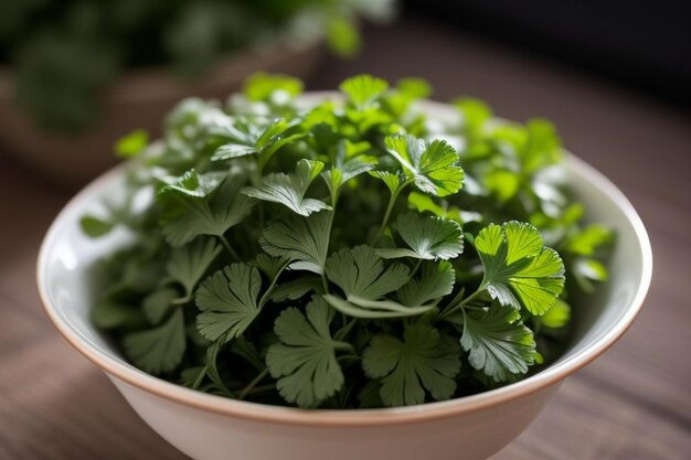 Coriander