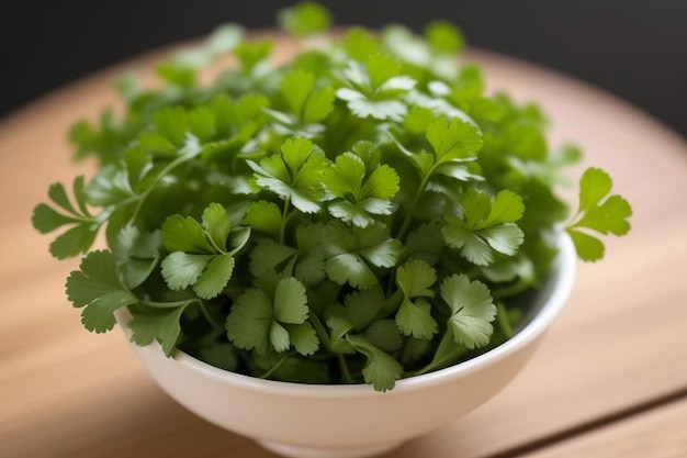 Coriander