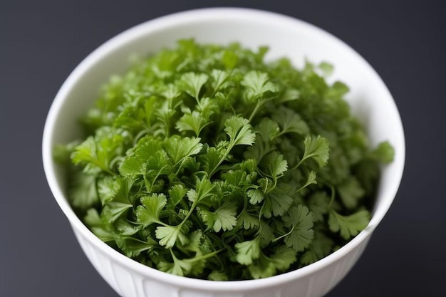 Coriander