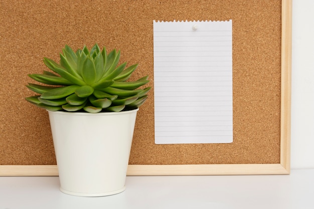 Cork board. Live succulent plant. Empty paper page for notes. 