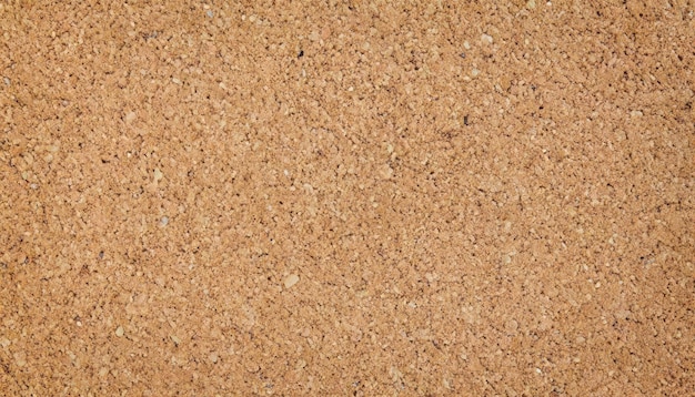 Photo corkboard background texture