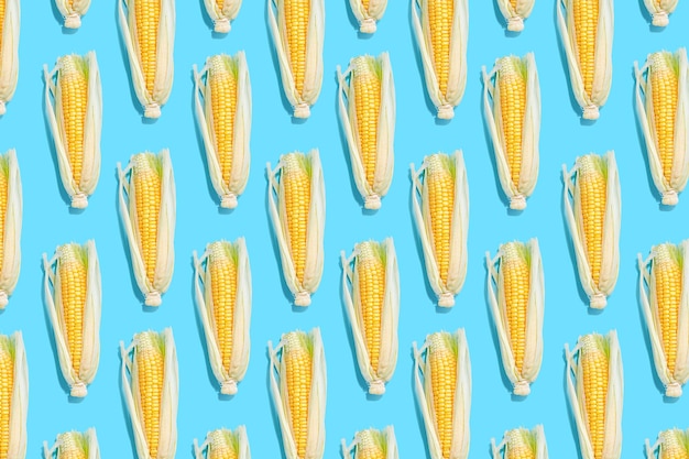 Photo corn on the cob on colored background pattern