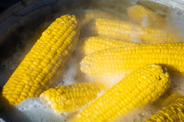 Photo corn on the cob cooking in a pot