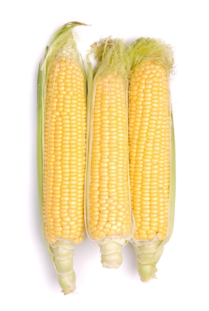 Кукуруза в початках, изолированные на белом фоне