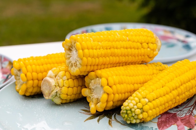 Corn on the cob on a plate