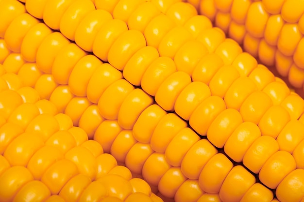 Corn on the cob ripe yellow closeup full frame food background