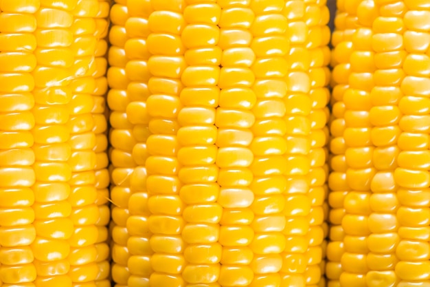 Corn cobs close up background