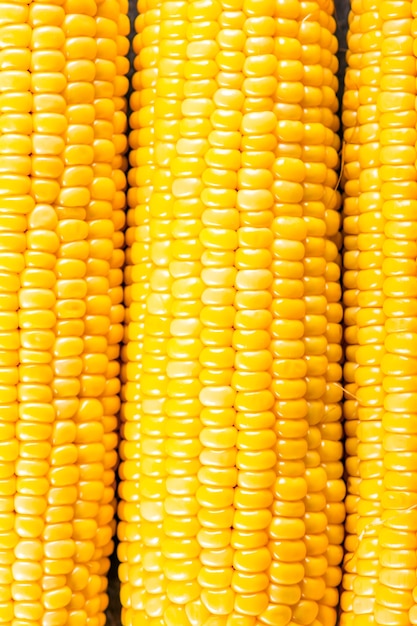 Corn cobs close up background