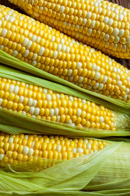 Corn cobs close up