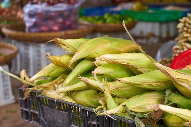 Photo corn cobs on the market in vietnam