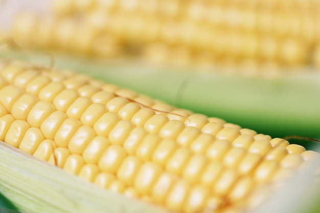 Corn on cobs and sweet corn ears