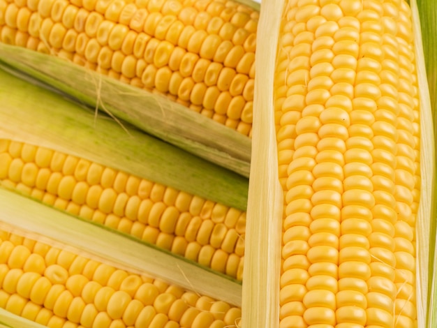 Corn cobs on the table.