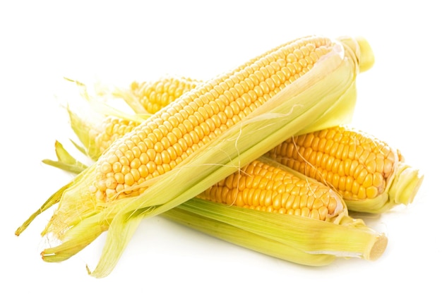 Corn cobs on white background. raw corn with green leaves on a white background