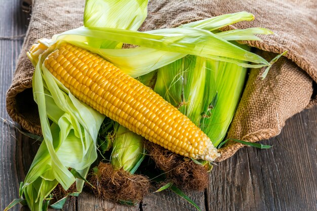 Corn cobs on wooden background