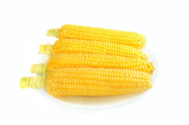 Corn cobs