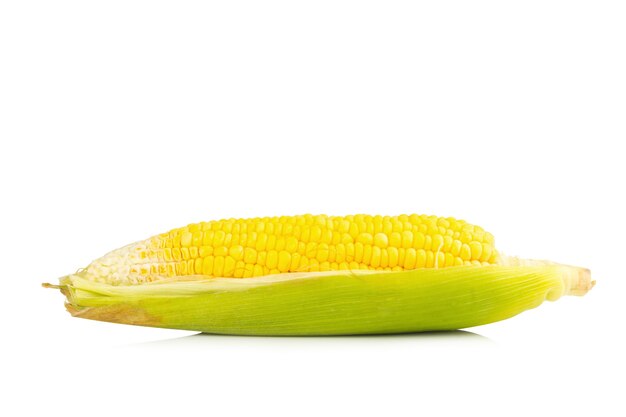 Corn fresh isolated on white background