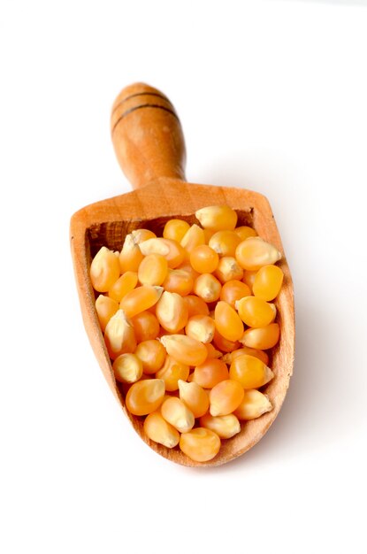 Corn grains close up