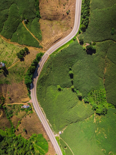 Foto industria del mais sulla montagna in tailandia