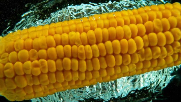 Photo corn into water