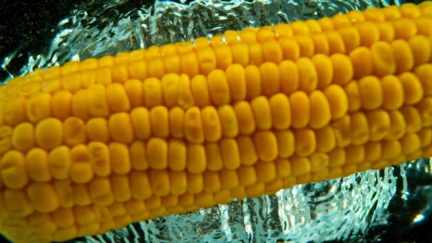 Photo corn into water