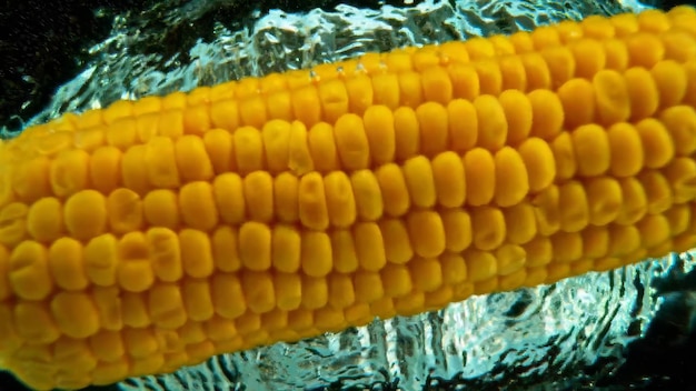 Photo corn into water