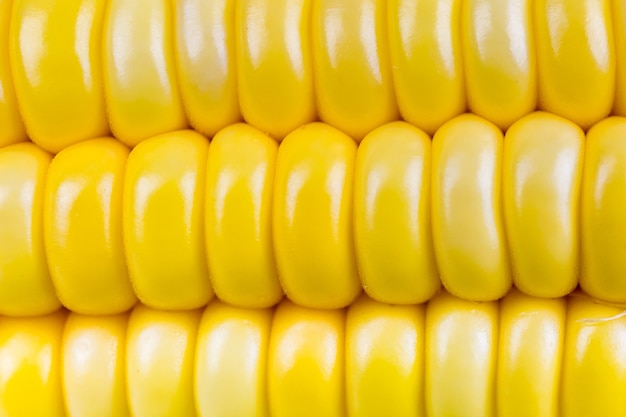 Corn isolate photo on white background.