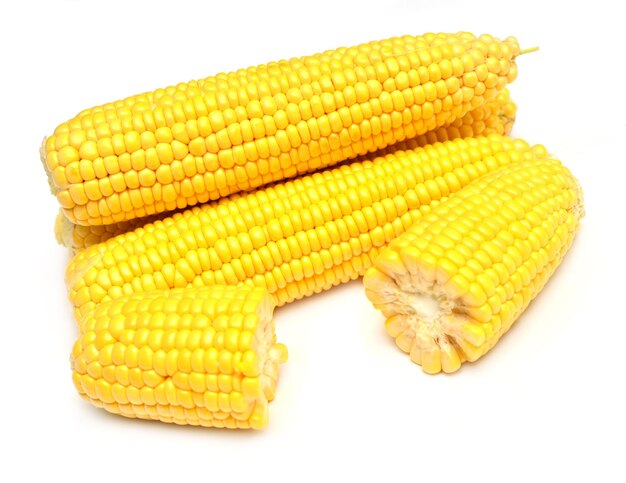 A corn isolated on white background. Flat lay, top view