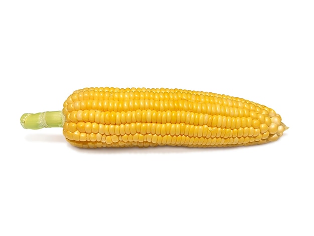 Photo corn isolated on white background