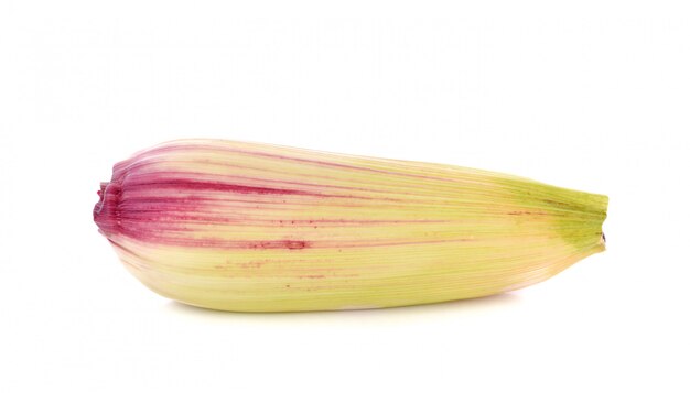 Corn isolated on white background